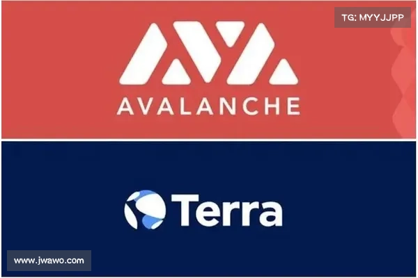 Terra与雪崩协议两大创始人对话：平行宇宙的交汇